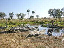 Mokoros im Okavango Delta