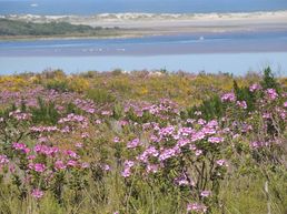 Garden Route
