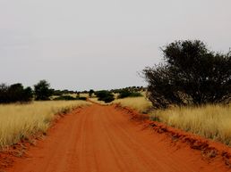 Kalahari Sandpiste