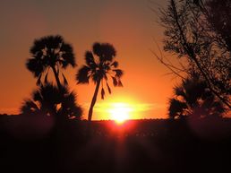 Sonnenuntergang in Palmwag