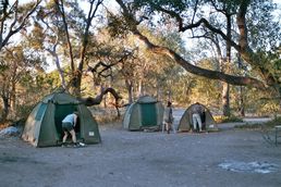 Camping im Moremi
