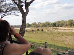 Sabi Sands Reserve