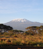 Tansania-Kenia Safari
