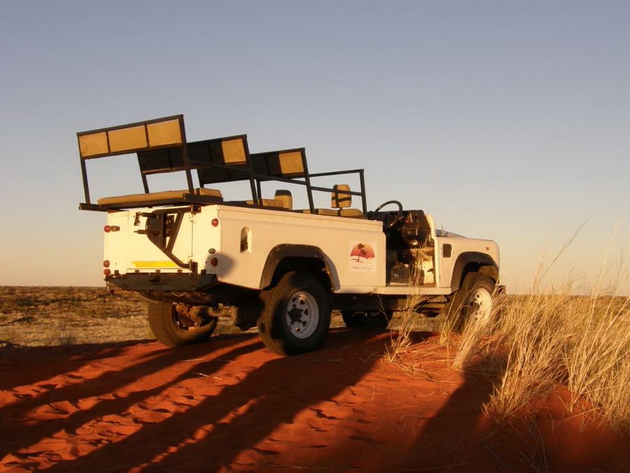 Sundowner Fahrt in der Kalahari